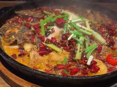 -老板恋上鱼(高新万达店)