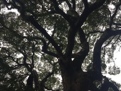 -安溪清水岩