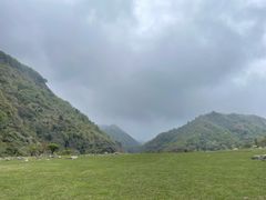 -狮子沟牧场