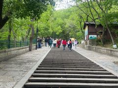 -灵岩山风景区