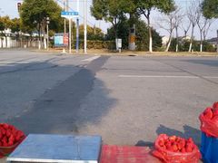 android_upload_pic-喜杨洋草莓采摘园