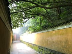 -普陀山风景区-佛顶山