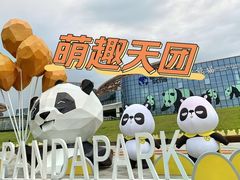 -成都大熊猫繁育研究基地