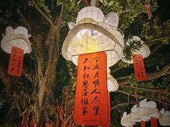 -南沙天后宫景区