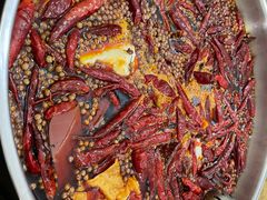 肥肠-鸿林老火锅(沙杨路店)