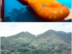 -重庆海昌加勒比海水世界