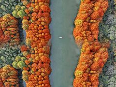 -上海海湾国家森林公园