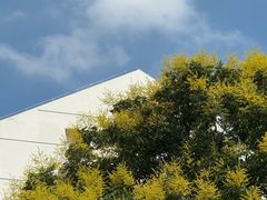 -阿男野栗王(金门路店)