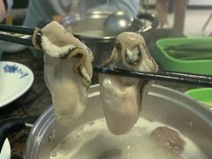 -蚝专家