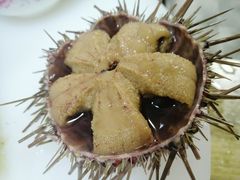 -海胆小馆(东北水饺·春柳店)