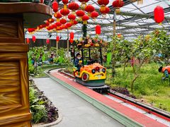 -南宫五洲植物乐园