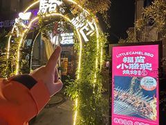 -福苗小骆驼烧烤(莲湖路店)