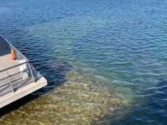 -贝林大翅鲸简餐厅(国家海洋博物馆店)