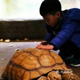 2020年的暑假跟我一起来看小萌宠吧！