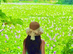 -白鹭湾湿地公园