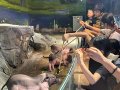 -正佳雨林生态植物园