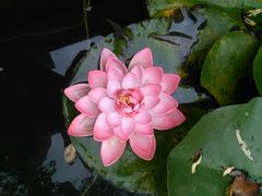 -镇江市南山风景名胜区竹林景区