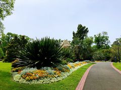 -斐兹洛伊花园