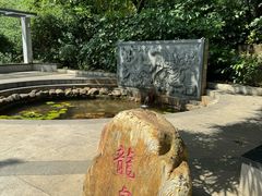 -深圳龙潭公园