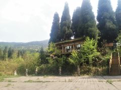 -武陵山森林公园