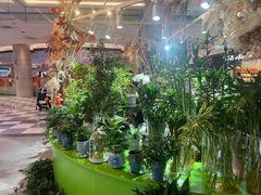 -北京华联生活超市(北京常营店)