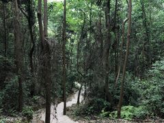 -酒仙湖景区