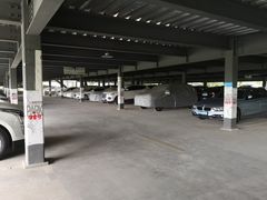 -上海植物园·停车场