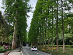 -青城山