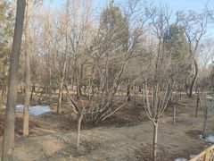 -森林公园(尖草坪区)