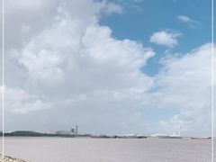 -上海滨江森林公园