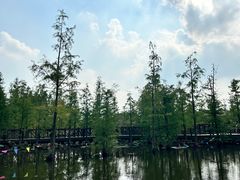 -同里国家湿地公园