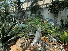 -国家植物园南园