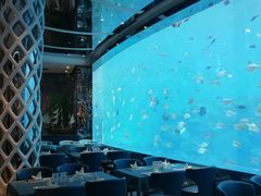 -瑞德姆美人鱼海底演艺主题餐厅(亚龙湾店)