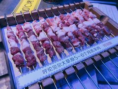 呼伦贝尔羊肉串-很久以前羊肉串(打浦路店)