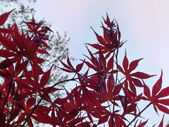 -回龙观体育文化公园