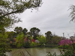 -南汇桃花村