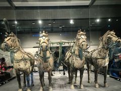 -秦始皇帝陵博物院-丽山园