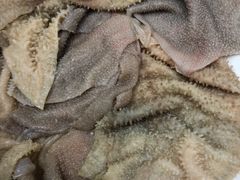 -五洲牛肉美食馆