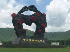 -亚龙湾国际玫瑰谷