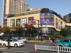 -金沙湖公园