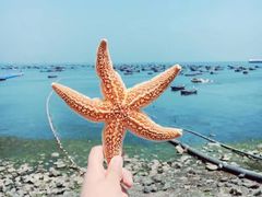 -大连金石滩国家旅游度假区