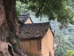-杨家堂村