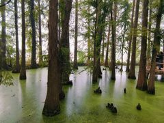 -东湖落雁景区