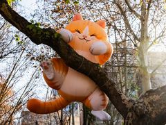 -西安电影制片厂