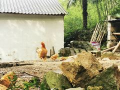 -山沟沟景区
