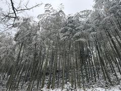 -莫干山风景区