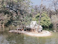 -昆明动物园
