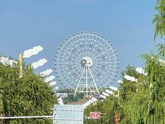 -特克斯八卦城