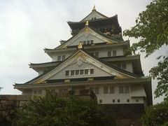 -大阪市立自然史博物馆