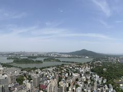 -紫峰大厦